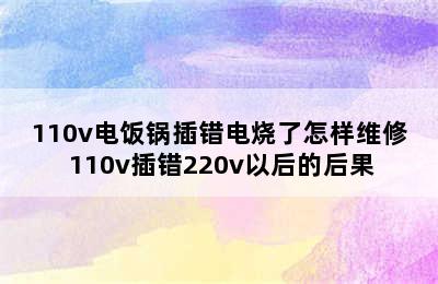 110v电饭锅插错电烧了怎样维修 110v插错220v以后的后果